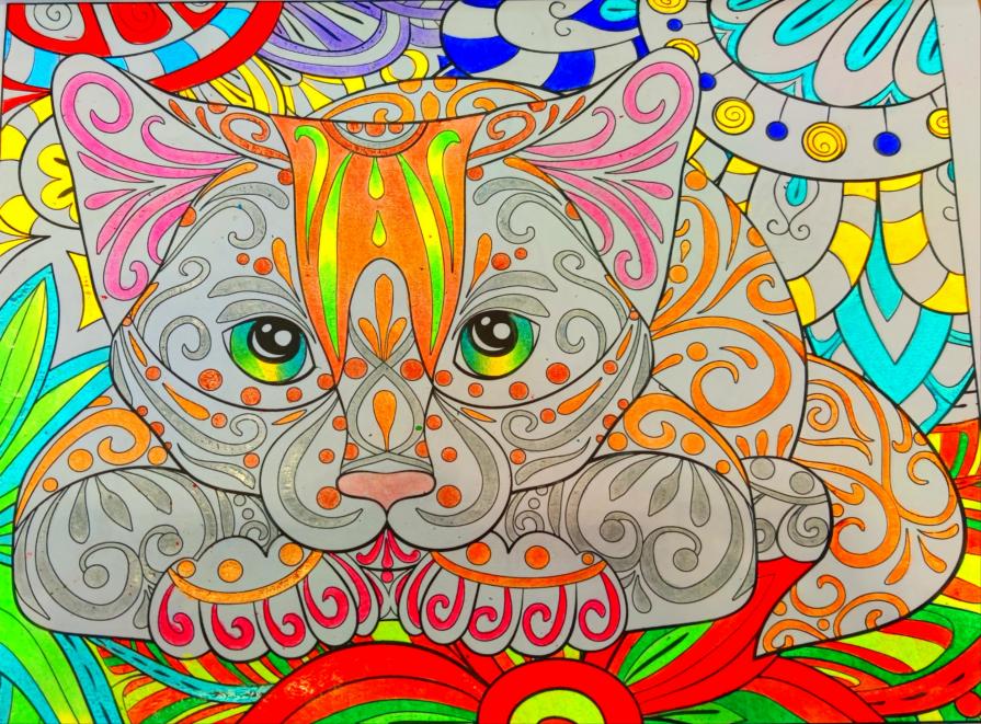 Instinto felino...!!!