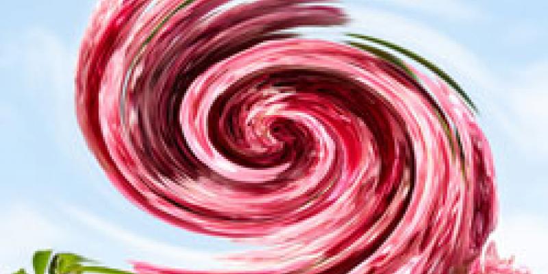 ELISABETH RASS - THE ARTBOX.PROJECT BASEL 1.0 ELISABETH RASS - THE ARTBOX.PROJECT BASEL 1.0