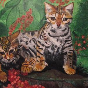 "Gattini Savannah" - Olio su Tela 70 x 50 - Tecnica Pennello anno 2012