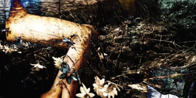 I giardini dell'Arte - Fascino e realtà da Arshile Gorky ad oggi I giardini dell'Arte - Fascino e realtà da Arshile Gorky ad oggi