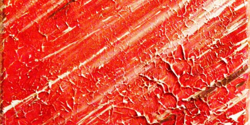 Maristella Angeli parteciperà al progetto MOSAIC