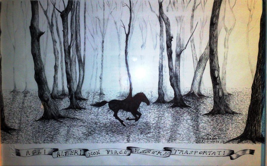 << agli  ALBERi  non  piace  essere  trasportati  >>  .... 