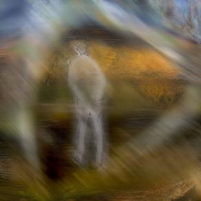 ....................................