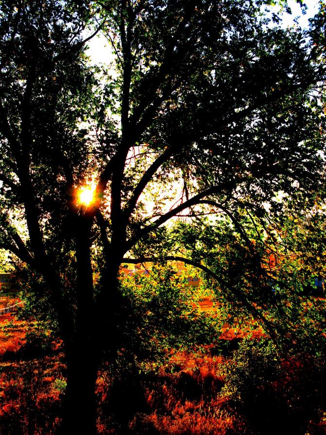 Colorado Sunrise: Gunnison # 1