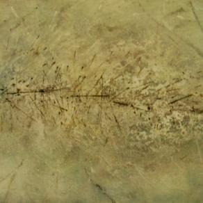 La colonna dorsale del drago.