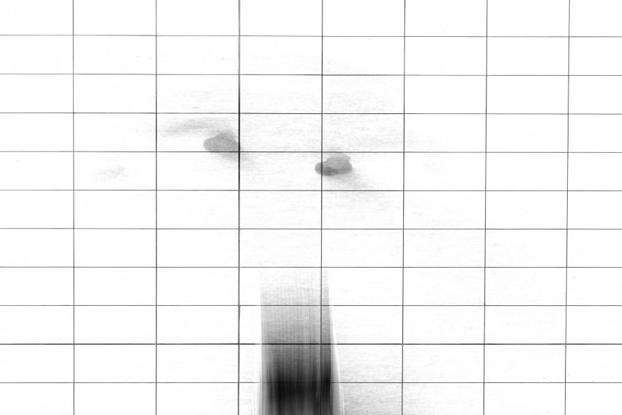 La via si fa con l'andare