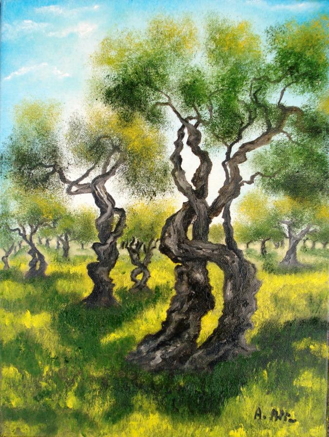 Alia Amalia - Uliveto Alia Amalia - Uliveto