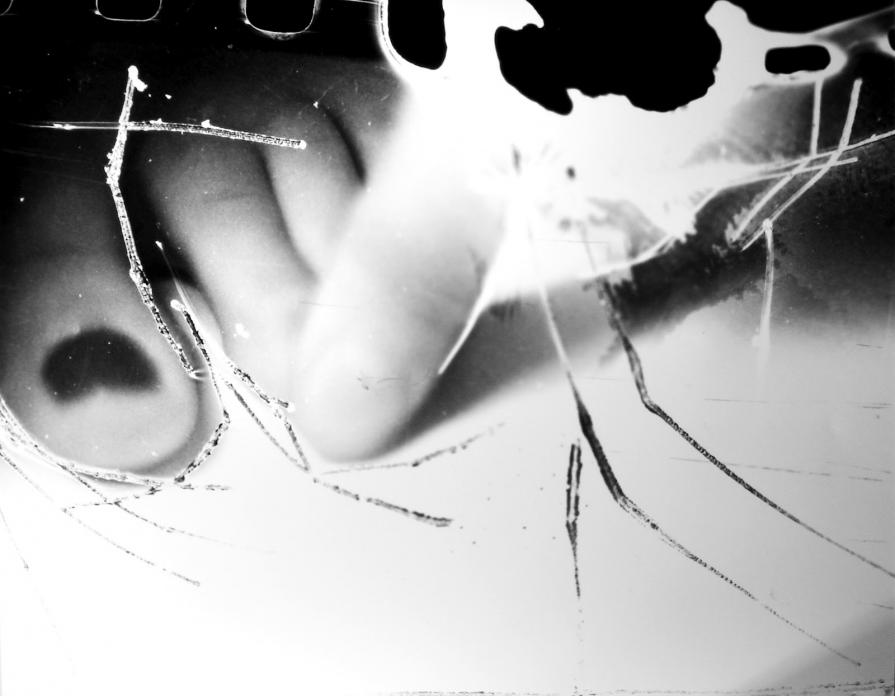 Frammenti di vita privata Frammenti di vita privata