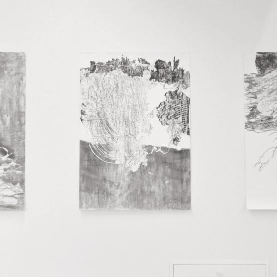 Litogènesi Litogènesi