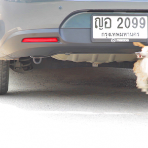 16x9 Capsule 16x9 Capsule