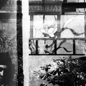 autoritratto riflesso