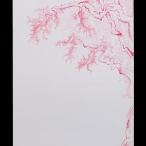 a U L I V O o f R 7 ®