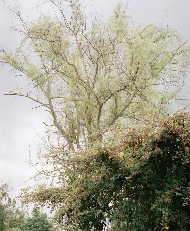 Autostrada Medellin - Bogotà