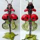 Lady Bug