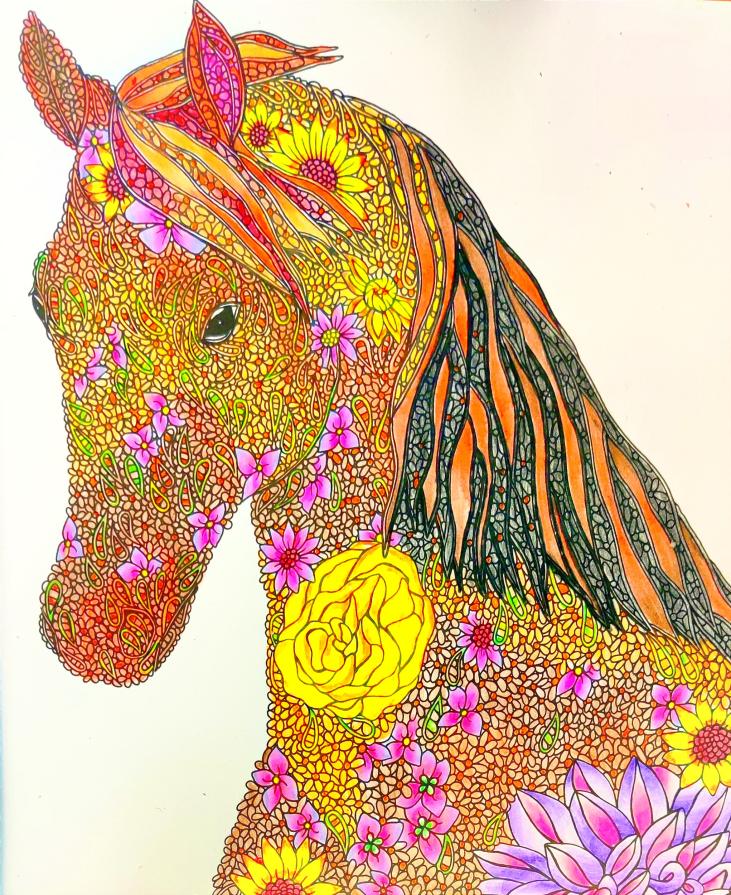 La natura docile e tenace del PONY...!!!