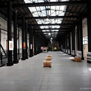 5 Elementi 5 Legno - Fuoco -Terra - Metallo - Acqua / Armonie e contrasti della natura attraverso l’Arte e il Feng shui 5 Elementi 5 Legno - Fuoco -Terra - Metallo - Acqua / Armonie e contrasti della natura attraverso l’Arte e il Feng shui