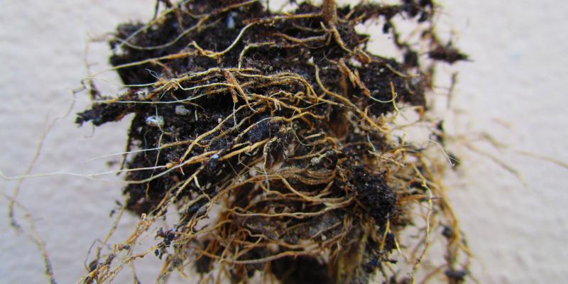   XIII RASSEGNA POESIARTE MILANO ‘ConDivisioni’ GALL. QUINTOCORTILE