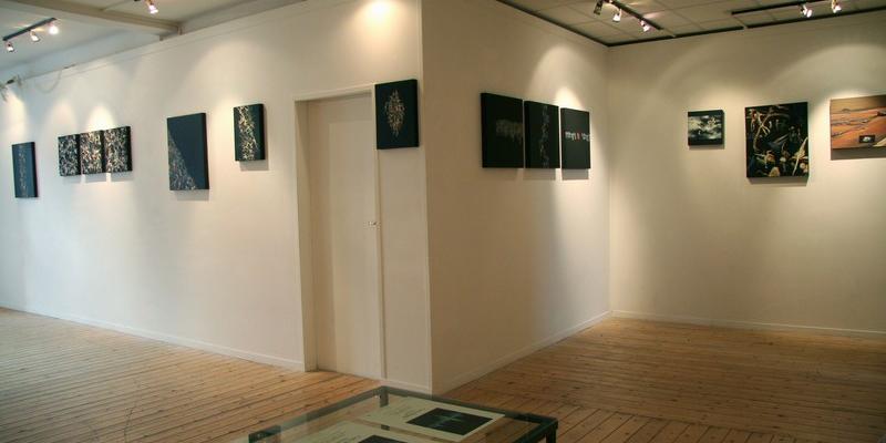 "20 mostre in villa"  Villa Borbone   Viale dei Tigli Viareggio