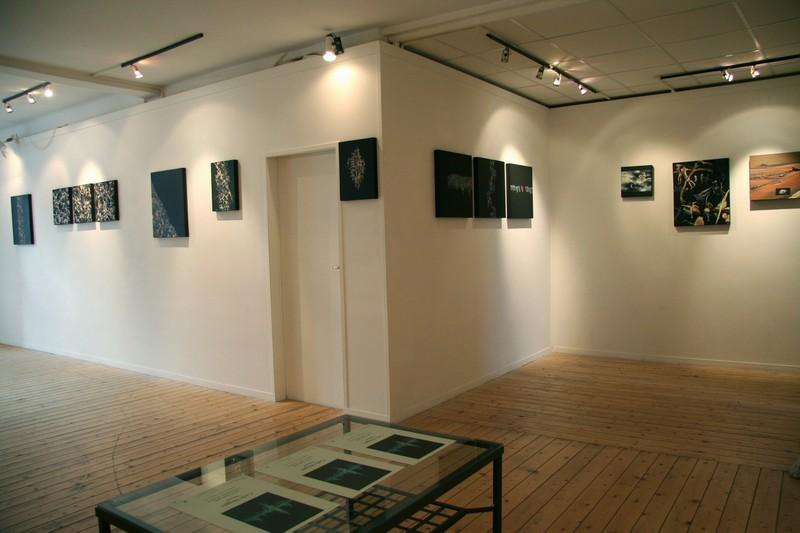 "20 mostre in villa"  Villa Borbone   Viale dei Tigli Viareggio