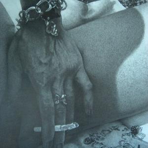 LA MATITA E LE EMOZIONI LA MATITA E LE EMOZIONI