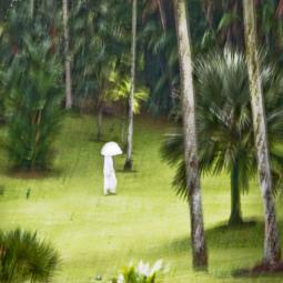 Amandine Nabarra Piomelli Amandine Nabarra Piomelli