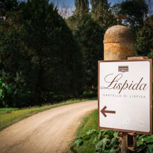 International Expo 'I Have a Dream' International Expo 'I Have a Dream'