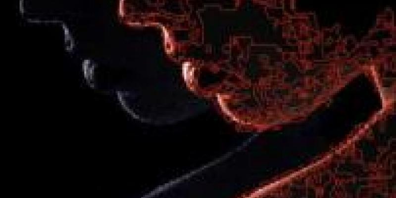 Profili d'artista Profili d'artista