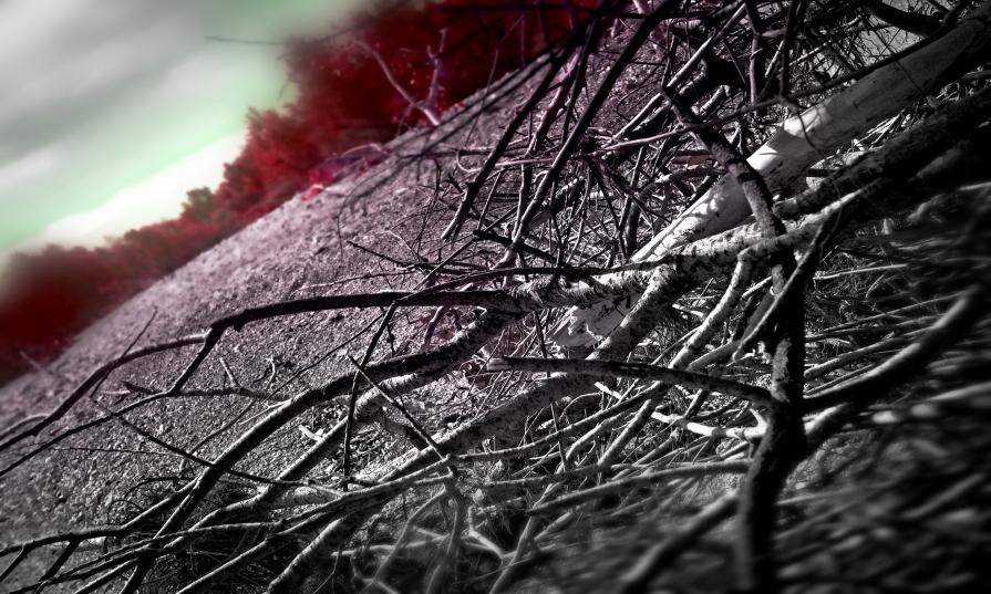 ARBE GARBE (13 -37.30) ARBE GARBE (13 -37.30)