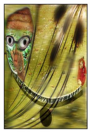   (  Faccia da  Giudice di Merda)  ricordati di giudicare bene...????