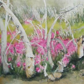 Bones in the Woods GNP