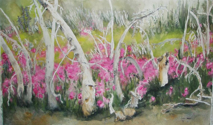 Bones in the Woods GNP