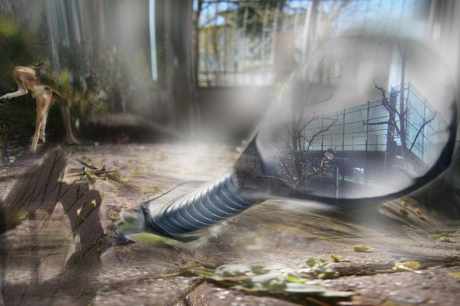 giardini visibili nelle citta' invisibili. fermati guardati intorno....