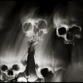 Skulls (Skull, Teschi, Teschio) - fotografia di Augusto De Luca. 35