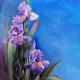 MY FLOWERS, IRIS 