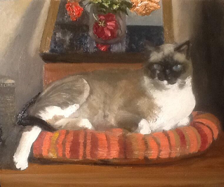 "Le boudoir du chat" 