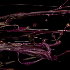 Sound of Ikebana: Four Season (Spring) Sound of Ikebana: Four Season (Spring)