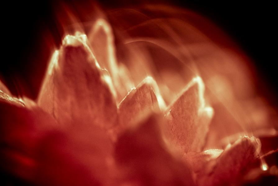 Series "The desires of...2"