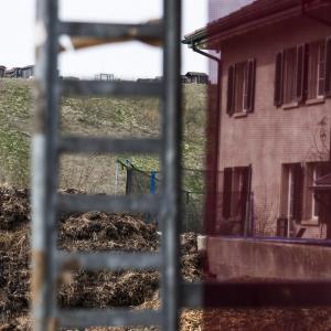 Insight-Out 6 Insight-Out 6