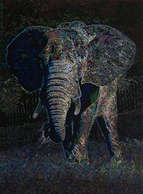 '70 years is a long time on the same patch of grass'