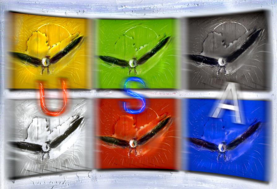 vorace di potere,vola in attesa del cambio del rappresentante elezioni 2016