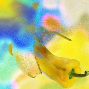 . . . Dieta: una vita da malati per morire finalmente sani !!! . . . 