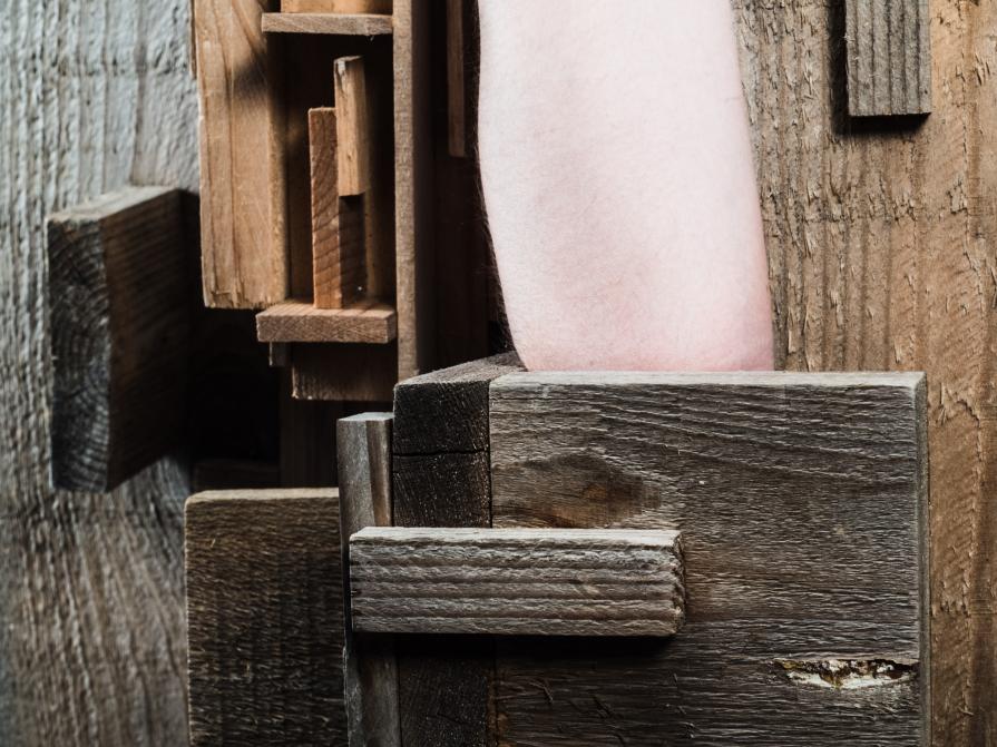 Interferenze del Desiderio 07