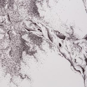 a U L I V O o f R 7 ®  