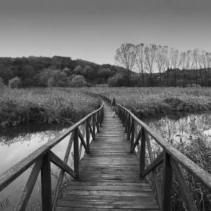 Impressions of November - Temporary solitudes