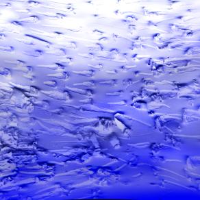 scontri di alici nel profondo dei mari