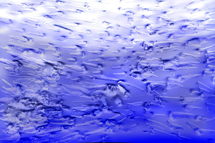 scontri di alici nel profondo dei mari