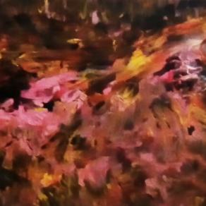 La prima notte di una squaw.