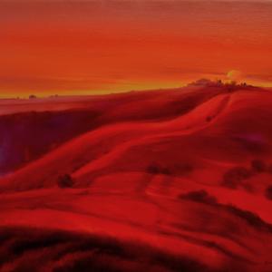 Il silenzio della coscienza Il silenzio della coscienza