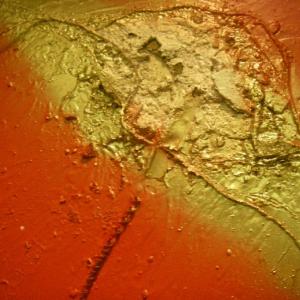 Mostra personale di Rachele Mari-Zanoli La vita nel colore