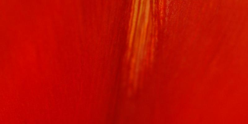 "Arte e eros" dal 20 al 28 settembre 2008 "Arte e eros" dal 20 al 28 settembre 2008